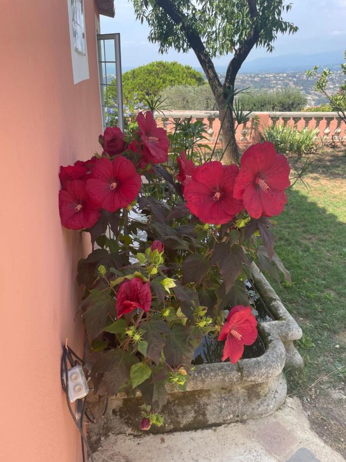 Chambre D'Hotes A L'Ancre Marine De La Villa Rose Nice Bagian luar foto